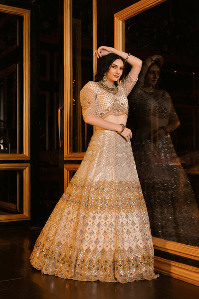 "Alice" Silver Golden Sequin & Crsytal Emboidery Lehenga Set