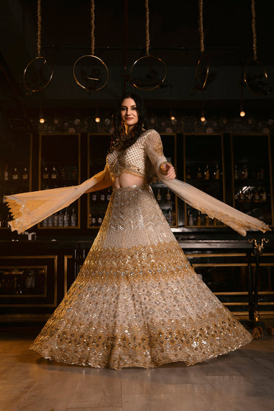 "Alice" Silver Golden Sequin & Crsytal Emboidery Lehenga Set