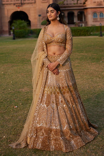 "Hanika" Golden Sequin & Crystal Beads Embellished Lehenga Set