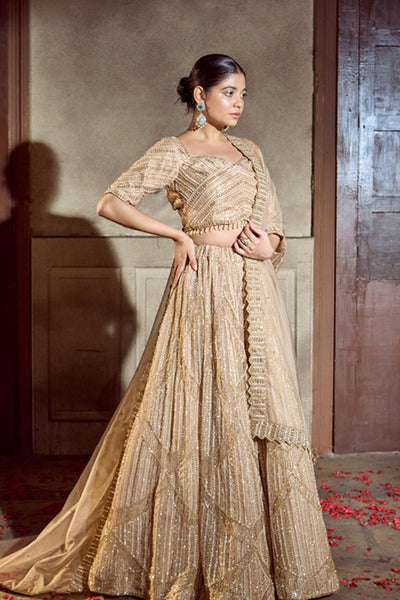 Golden Embroidered Lehenga Set