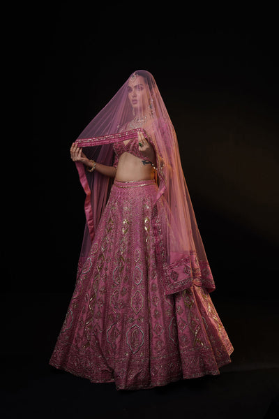 "Vania" Pink Tissue Lehenga Set With Dupatta